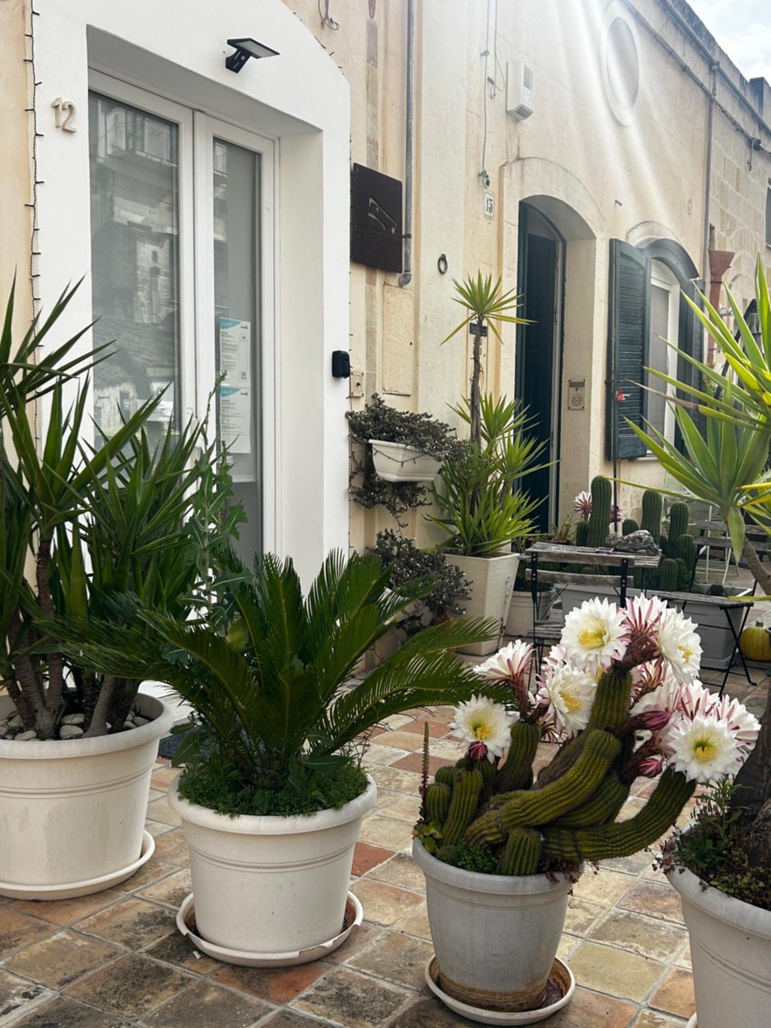 Recinto Antico Sweet Rooms มาเตรา ภายนอก รูปภาพ